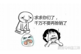 山西债务清欠服务